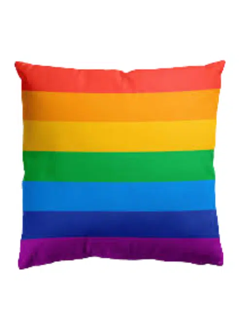 OOTB Pride Cushion Cover